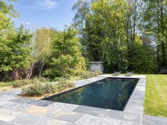 Dhaenens Pools & Gardens Piscine monobloc étroite et rectangulaire