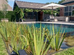 Hoveniersgebroeders Piscine ou étang de baignade ? l’alliance parfaite
