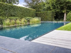 GEONET BVBA Étang de natation  dans un petit jardin urbain 