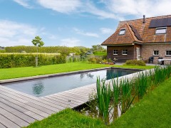 Hoveniersgebroeders Une piscine épurée Biotop avec filtre végétal intégré
