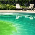 Premiers soins pour l'eau verte